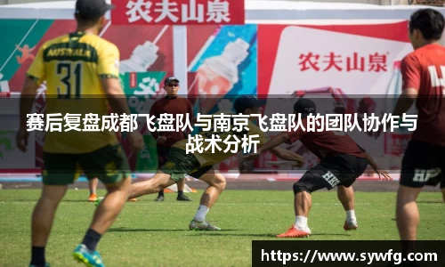 赛后复盘成都飞盘队与南京飞盘队的团队协作与战术分析
