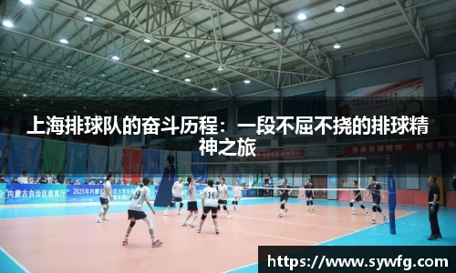 上海排球队的奋斗历程：一段不屈不挠的排球精神之旅