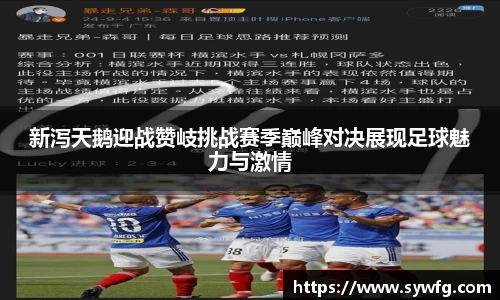 新泻天鹅迎战赞岐挑战赛季巅峰对决展现足球魅力与激情